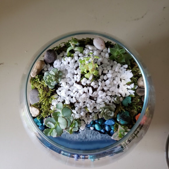 Terrarium kits - Picture 4 of 6